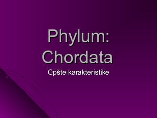 Phylum:
Chordata
Opšte karakteristike
 