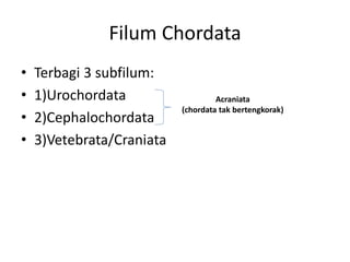 penjelasan chordata dengan subfilm vertebrata | PDF