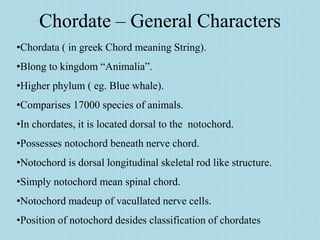 Chordata ppt.ppt | Biological Sciences | Science