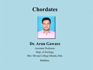 Chordates
Dr. Arun Gaware
Assistant Professor,
Dept. of Zoology,
Shri. Shivaji College Motala, Dist.
Buldana.
 
