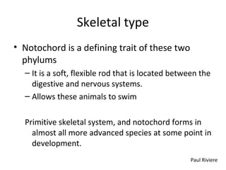 Skeletal type
• Notochord is a defining trait of these two
phylums
– It is a soft, flexible rod that is located between the
digestive and nervous systems.
– Allows these animals to swim
Primitive skeletal system, and notochord forms in
almost all more advanced species at some point in
development.
Paul Riviere
 