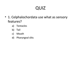 QUIZ
• 1. Celphalochordata use what as sensory
features?
a) Tentacles
b) Tail
c) Mouth
d) Pharyngeal slits
 