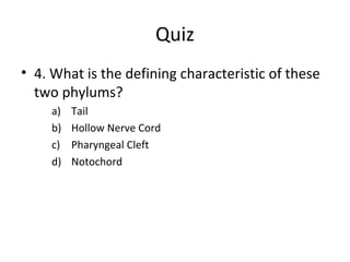 Quiz
• 4. What is the defining characteristic of these
two phylums?
a) Tail
b) Hollow Nerve Cord
c) Pharyngeal Cleft
d) Notochord
 