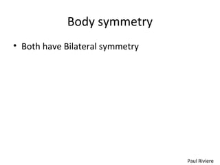 Body symmetry
• Both have Bilateral symmetry
Paul Riviere
 