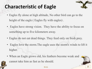 habitat:
• The eagles are generally distributed in all types of
habitats and nearly all parts of the world.
Birds 16
 