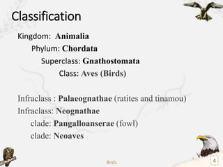 Characteristic of birds
• Feathers
• Wings
• Beak/Bill
• Internal fertilization
• Oviparous
• Lightweight skeleton
• Molti...