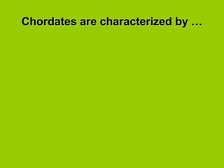 Chordates are characterized by …Chordates are characterized by …
 