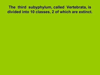 The third subyphylum, called Vertebrata, isThe third subyphylum, called Vertebrata, is
divided into 10 classes, 2 of which are extinct.divided into 10 classes, 2 of which are extinct.
 