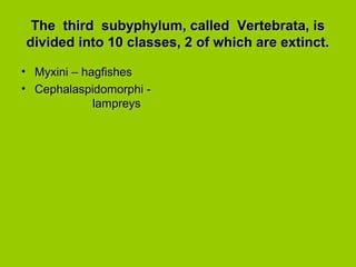 The third subyphylum, called Vertebrata, isThe third subyphylum, called Vertebrata, is
divided into 10 classes, 2 of which are extinct.divided into 10 classes, 2 of which are extinct.
• Myxini – hagfishesMyxini – hagfishes
• Cephalaspidomorphi -Cephalaspidomorphi -
lampreyslampreys
 