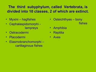 The third subyphylum, called Vertebrata, isThe third subyphylum, called Vertebrata, is
divided into 10 classes, 2 of which are extinct.divided into 10 classes, 2 of which are extinct.
• Myxini – hagfishesMyxini – hagfishes
• Cephalaspidomorphi -Cephalaspidomorphi -
lampreyslampreys
• OstracodermiOstracodermi
• PlacodermiPlacodermi
• Elasmobranchomorphi –Elasmobranchomorphi –
cartilaginous fishescartilaginous fishes
• Osteichthyes – bonyOsteichthyes – bony
fishesfishes
• AmphibiaAmphibia
• ReptiliaReptilia
• AvesAves
 
