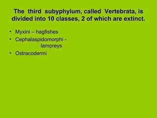 The third subyphylum, called Vertebrata, isThe third subyphylum, called Vertebrata, is
divided into 10 classes, 2 of which are extinct.divided into 10 classes, 2 of which are extinct.
• Myxini – hagfishesMyxini – hagfishes
• Cephalaspidomorphi -Cephalaspidomorphi -
lampreyslampreys
• OstracodermiOstracodermi
 