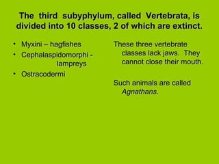 The third subyphylum, called Vertebrata, isThe third subyphylum, called Vertebrata, is
divided into 10 classes, 2 of which are extinct.divided into 10 classes, 2 of which are extinct.
• Myxini – hagfishesMyxini – hagfishes
• Cephalaspidomorphi -Cephalaspidomorphi -
lampreyslampreys
• OstracodermiOstracodermi
These three vertebrateThese three vertebrate
classes lack jaws. Theyclasses lack jaws. They
cannot close their mouth.cannot close their mouth.
Such animals are calledSuch animals are called
AgnathansAgnathans..
 