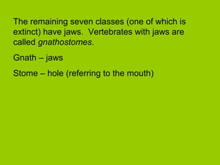 The remaining seven classes (one of which is
extinct) have jaws. Vertebrates with jaws are
called gnathostomes.
Gnath – jaws
Stome – hole (referring to the mouth)
 