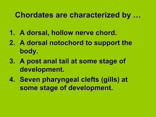 Chordates are characterized by …Chordates are characterized by …
1.1. A dorsal, hollow nerve chord.A dorsal, hollow nerve chord.
2.2. A dorsal notochord to support theA dorsal notochord to support the
body.body.
3.3. A post anal tail at some stage ofA post anal tail at some stage of
development.development.
4.4. Seven pharyngeal clefts (gills) atSeven pharyngeal clefts (gills) at
some stage of development.some stage of development.
 