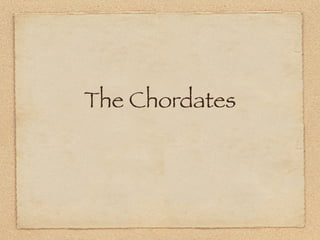 The Chordates
 
