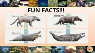 FUN FACTS!!!
 