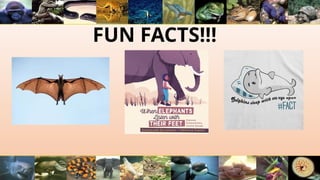 FUN FACTS!!!
 