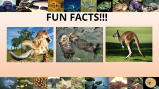 FUN FACTS!!!
 