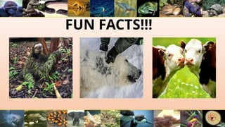 FUN FACTS!!!
 