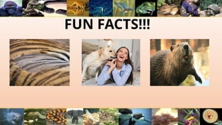 FUN FACTS!!!
 