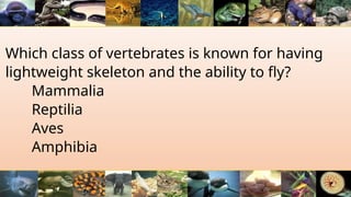 Which class of vertebrates is known for having
lightweight skeleton and the ability to fly?
Mammalia
Reptilia
Aves
Amphibia
 