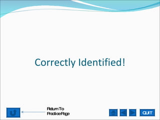 Correctly Identified! QUIT Return To Practice Page 