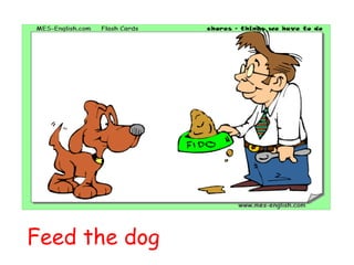 Feed the dog