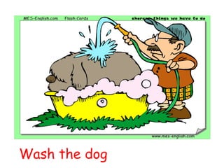 Wash the dog