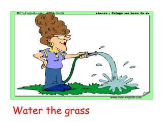 Water the grass