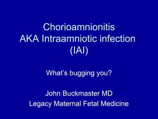 Chorioamnionitis
AKA Intraamniotic infection
(IAI)
What’s bugging you?
John Buckmaster MD
Legacy Maternal Fetal Medicine
 