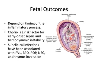 Chorioamnionitis presentation and management | PDF