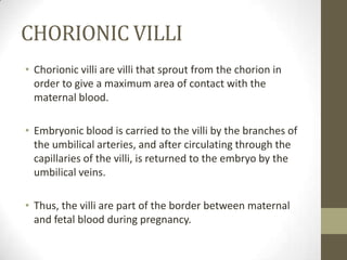 CHORIONIC VILLI
• Chorionic villi are villi that sprout from the chorion in
order to give a maximum area of contact with the
maternal blood.
• Embryonic blood is carried to the villi by the branches of
the umbilical arteries, and after circulating through the
capillaries of the villi, is returned to the embryo by the
umbilical veins.

• Thus, the villi are part of the border between maternal
and fetal blood during pregnancy.

 
