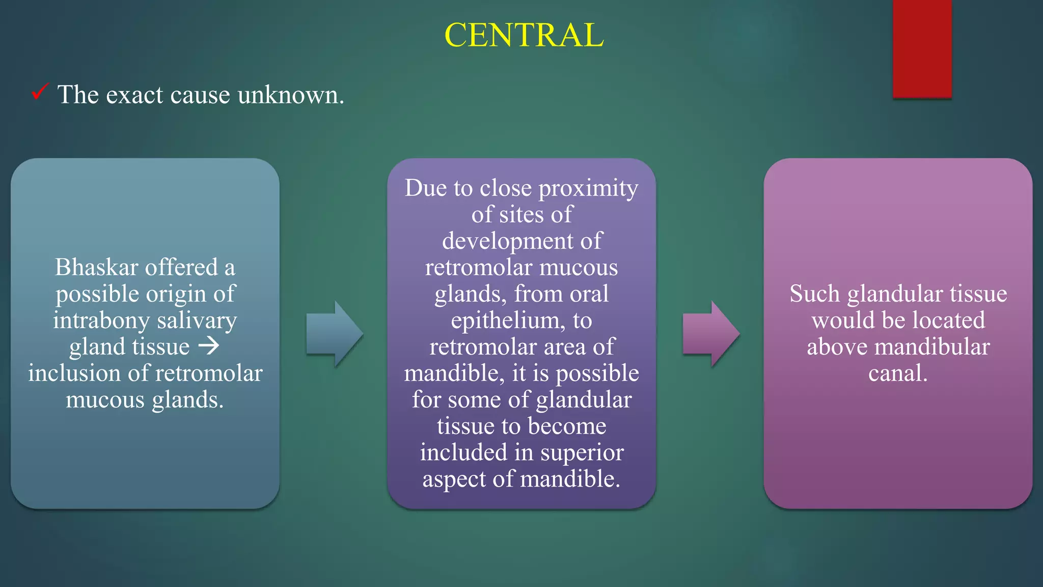 CENTRAL
 The exact cause unknown.
Bhaskar offered a
possible origin of
intrabony salivary
gland tissue 
inclusion of retromolar
mucous glands.
Due to close proximity
of sites of
development of
retromolar mucous
glands, from oral
epithelium, to
retromolar area of
mandible, it is possible
for some of glandular
tissue to become
included in superior
aspect of mandible.
Such glandular tissue
would be located
above mandibular
canal.
 