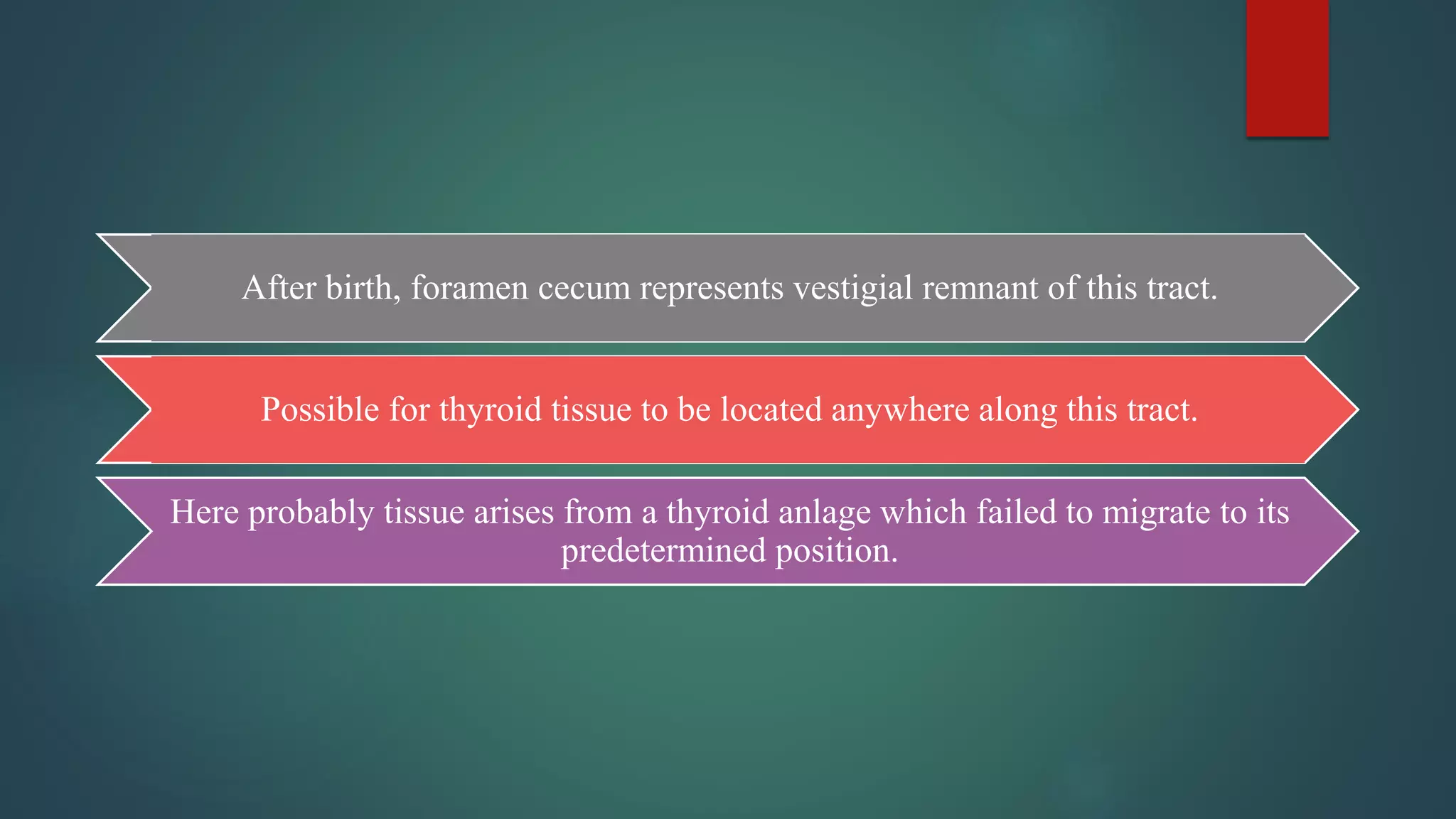 After birth, foramen cecum represents vestigial remnant of this tract.
Possible for thyroid tissue to be located anywhere along this tract.
Here probably tissue arises from a thyroid anlage which failed to migrate to its
predetermined position.
 
