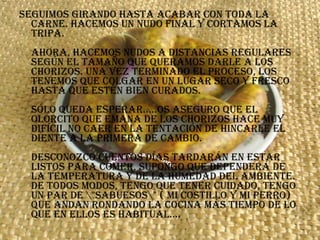 Seguimos girando hasta acabar con toda la carne. Hacemos un nudo final y cortamos la tripa. Ahora, hacemos nudos a distancias regulares según el tamaño que queramos darle a los chorizos. Una vez terminado el proceso, los tenemos que colgar en un lugar seco y fresco hasta que estén bien curados. Sólo queda esperar.....os aseguro que el olorcito que emana de los chorizos hace muy difícil no caer en la tentación de hincarle el diente a la primera de cambio.  Desconozco cuentos días tardarán en estar listos para comer, supongo que dependerá de la temperatura y de la humedad del ambiente. De todos modos, tengo que tener cuidado, tengo un par de \"sabuesos\" ( mi costillo y mi perro) que andan rondando la cocina más tiempo de lo que en ellos es habitual....  