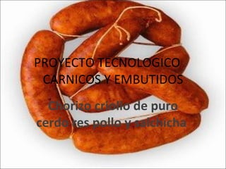 PROYECTO TECNOLOGICO CARNICOS Y EMBUTIDOS Chorizo criollo de puro cerdo res pollo y salchicha   