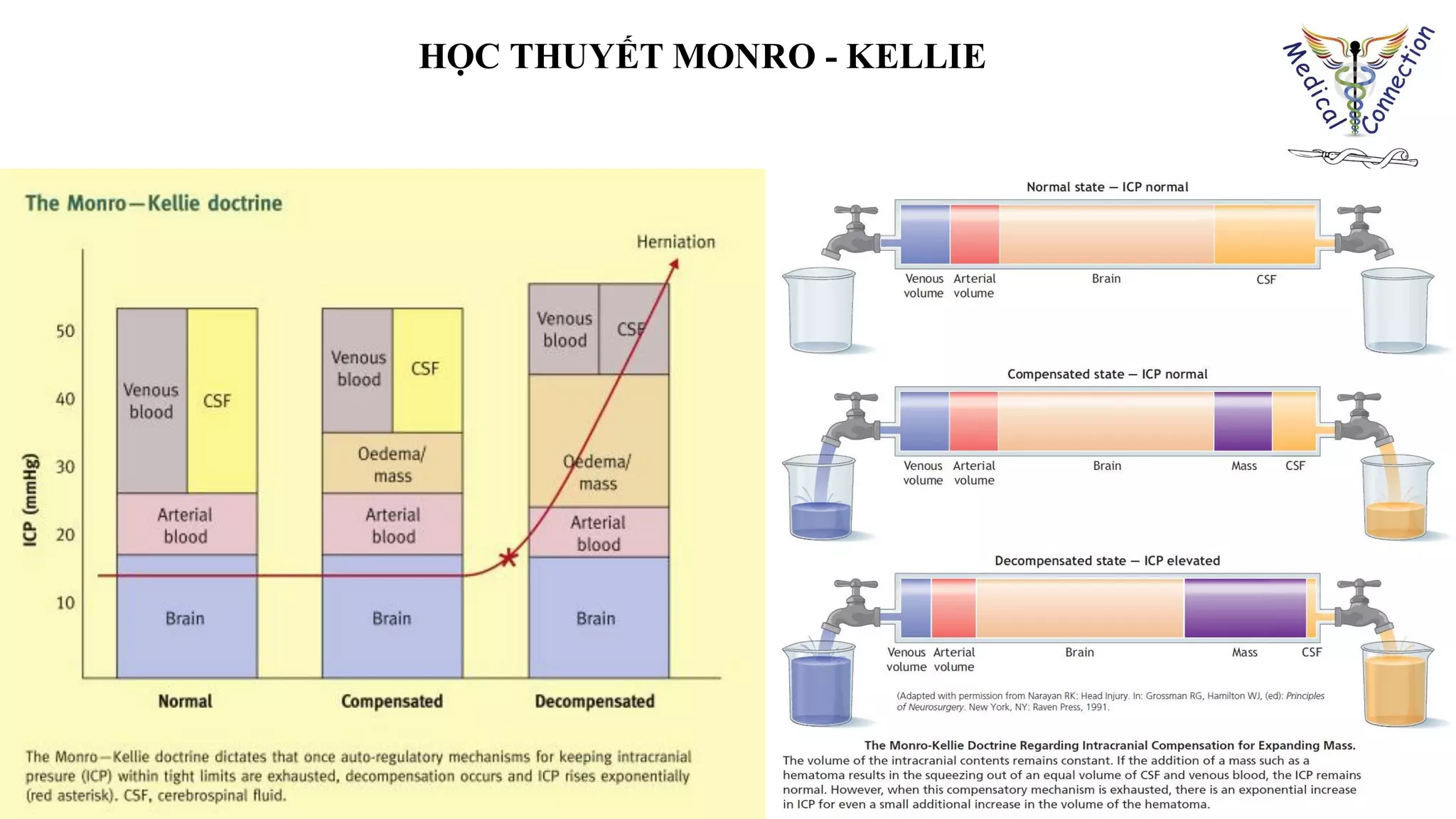 HỌC THUYẾT MONRO - KELLIE
 