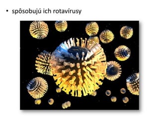 • spôsobujú ich rotavírusy
 