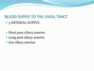 BLOOD SUPPLY TO THE UVEAL TRACT
 3 ARTERIAL SUPPLY:
 Short post ciliary arteries
 Long post ciliary arteries
 Ant ciliary arteries
 