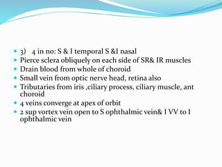  3) 4 in no: S & I temporal S &I nasal
 Pierce sclera obliquely on each side of SR& IR muscles
 Drain blood from whole of choroid
 Small vein from optic nerve head, retina also
 Tributaries from iris ,ciliary process, ciliary muscle, ant
choroid
 4 veins converge at apex of orbit
 2 sup vortex vein open to S ophthalmic vein& I VV to I
ophthalmic vein
 