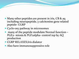  Many other peptides are present in iris, CB & aq
including neuropeptide, y calcitonine gene related
peptide- CGRP
 Cyclo-oxy pathway in microsomes
 many of the peptide modulate Normal function –
PGE2- miosis & PGF2alpha- control iop by AQ
production
 CGRP RELAXES;Iris dialator
 Also have immunosuppressive role
 