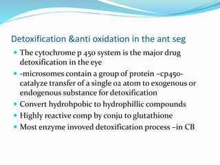 Detoxification &anti oxidation in the ant seg
 The cytochrome p 450 system is the major drug
detoxification in the eye
 -microsomes contain a group of protein –cp450-
catalyze transfer of a single o2 atom to exogenous or
endogenous substance for detoxification
 Convert hydrohpobic to hydrophillic compounds
 Highly reactive comp by conju to glutathione
 Most enzyme invoved detoxification process –in CB
 