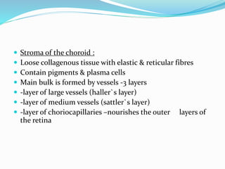  Stroma of the choroid :
 Loose collagenous tissue with elastic & reticular fibres
 Contain pigments & plasma cells
 Main bulk is formed by vessels -3 layers
 -layer of large vessels (haller`s layer)
 -layer of medium vessels (sattler`s layer)
 -layer of choriocapillaries –nourishes the outer layers of
the retina
 