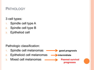 PATHOLOGY
3 cell types:
1. Spindle cell type A
2. Spindle cell type B
3. Epitheliod cell
Pathologic classification:
1. Spindle cell melanomas good prognosis
2. Epithelioid cell melanomas intermidiate
3. Mixed cell melanomas Poorest survival
prognoses
 
