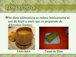 LOS CHORTIS

Su dieta alimenticia se reduce básicamente al
uso de frijol y maíz que es preparado de
diferentes formas:




      Atole dulce         Tamal de Elote
 