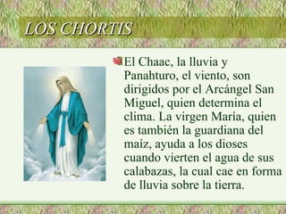 LOS CHORTIS
          El Chaac, la lluvia y
          Panahturo, el viento, son
          dirigidos por el Arcángel San
          Miguel, quien determina el
          clima. La virgen María, quien
          es también la guardiana del
          maíz, ayuda a los dioses
          cuando vierten el agua de sus
          calabazas, la cual cae en forma
          de lluvia sobre la tierra.
 
