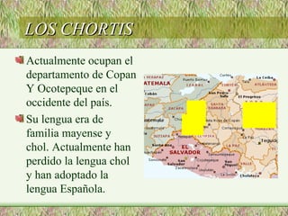 LOS CHORTIS
Actualmente ocupan el
departamento de Copan
Y Ocotepeque en el
occidente del país.
Su lengua era de
familia mayense y
chol. Actualmente han
perdido la lengua chol
y han adoptado la
lengua Española.
 
