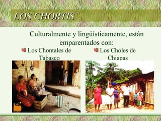 LOS CHORTIS
  Culturalmente y lingüísticamente, están
           emparentados con:
  Los Chontales de        Los Choles de
      Tabasco               Chiapas
 