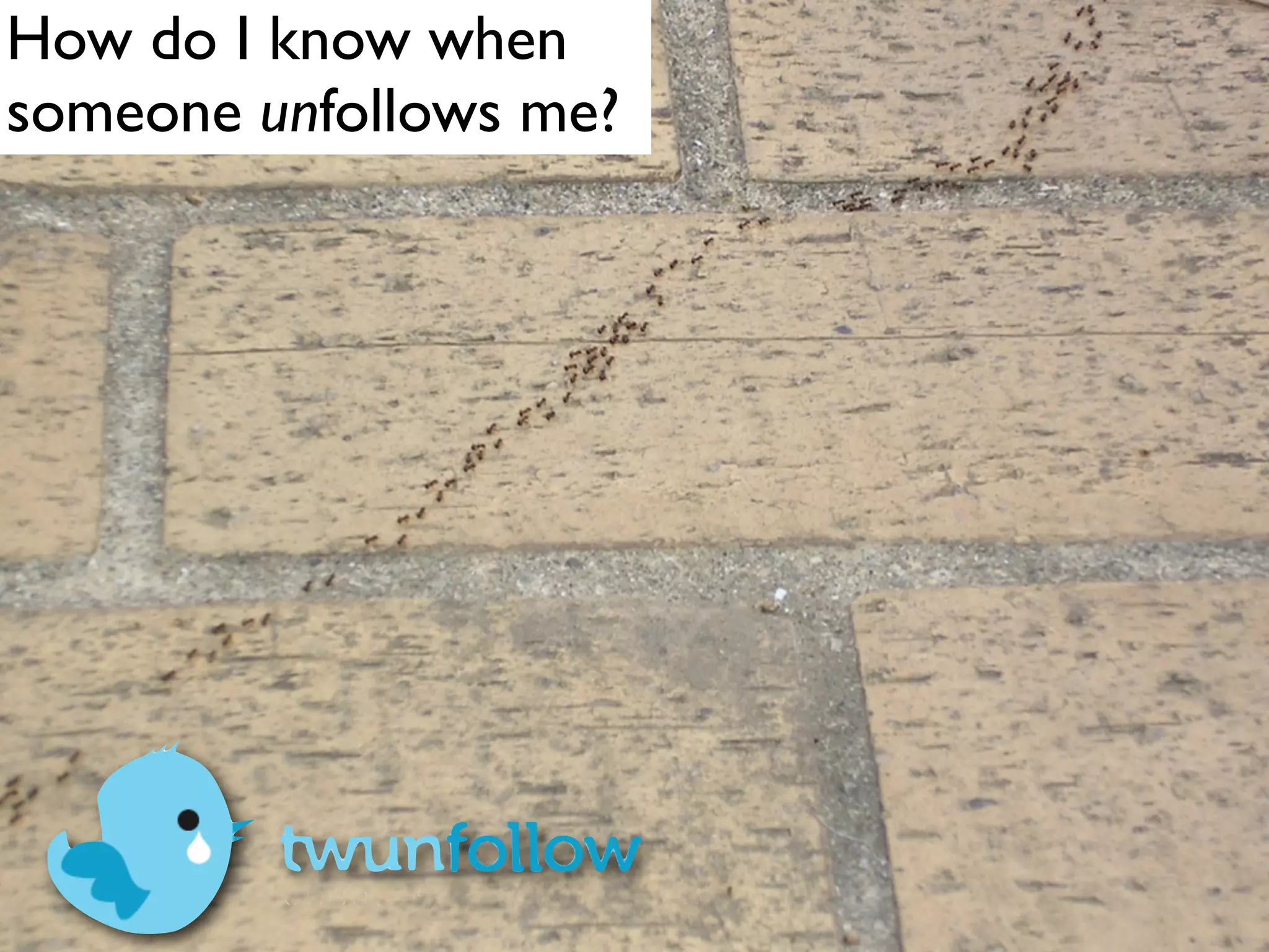 How do I know when
someone unfollows me?
 