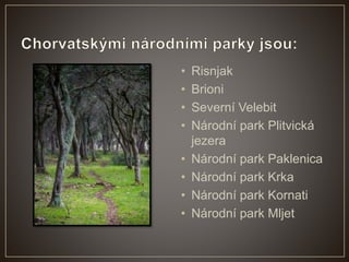 • Risnjak
• Brioni
• Severní Velebit
• Národní park Plitvická
jezera
• Národní park Paklenica
• Národní park Krka
• Národní park Kornati
• Národní park Mljet
 